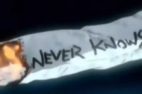 Never Knows Best Flcl