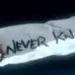 Never Knows Best Flcl